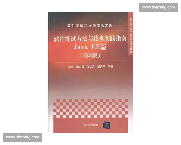以多年实践经验为基础，总结工作方法与成长心得的实用指南
