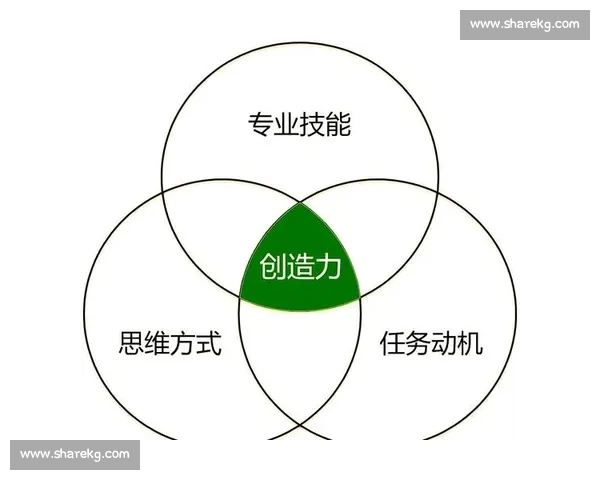 以专项能力为核心提升个人竞争力的策略与方法探索